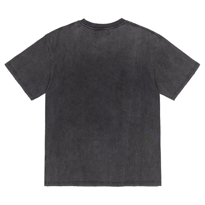 AMRI  High Lion T-Shirt